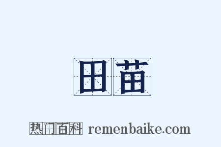 田苗是什么意思的图片